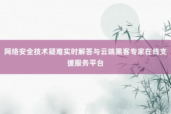 网络安全技术疑难实时解答与云端黑客专家在线支援服务平台