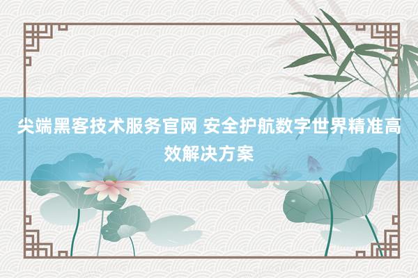 尖端黑客技术服务官网 安全护航数字世界精准高效解决方案