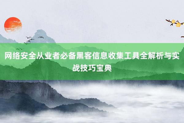 网络安全从业者必备黑客信息收集工具全解析与实战技巧宝典