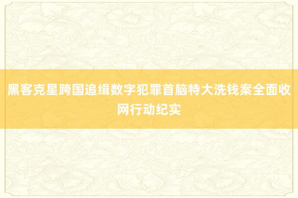 黑客克星跨国追缉数字犯罪首脑特大洗钱案全面收网行动纪实
