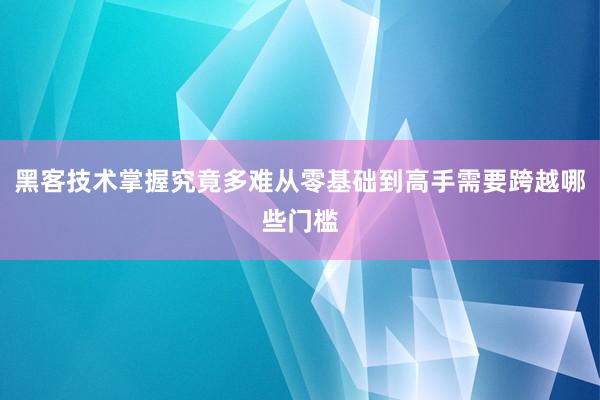 黑客技术掌握究竟多难从零基础到高手需要跨越哪些门槛