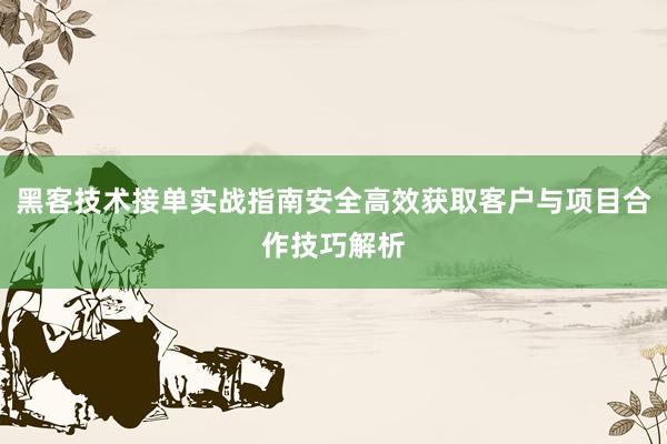 黑客技术接单实战指南安全高效获取客户与项目合作技巧解析